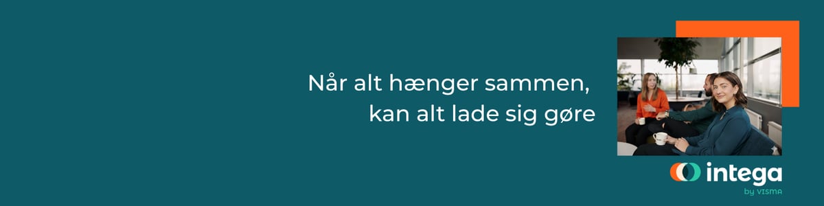 LinkedIn profil banner - privat - Intega (2)