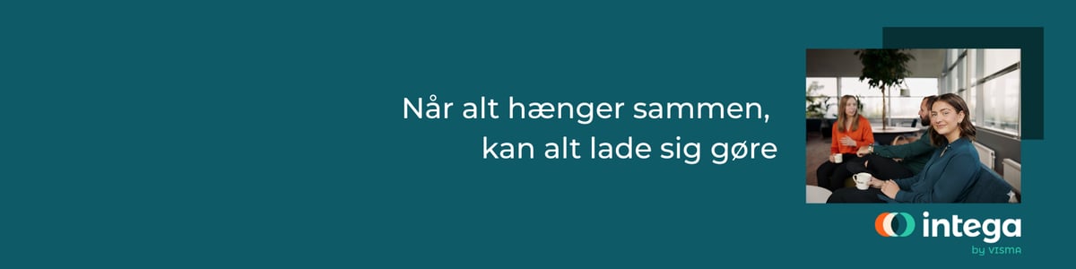 LinkedIn profil banner - privat - Intega